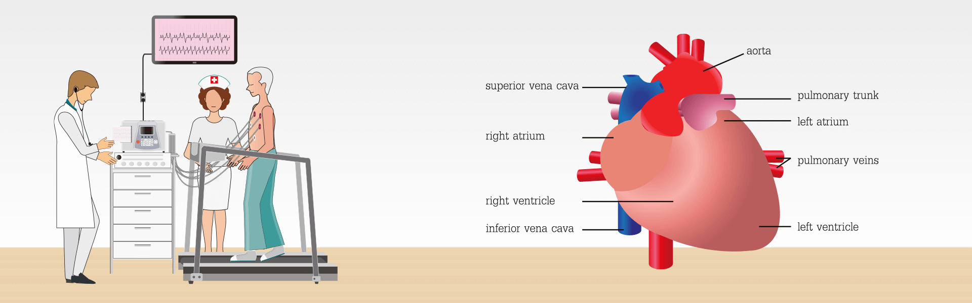 heart specialist doctor in Panjim Goa