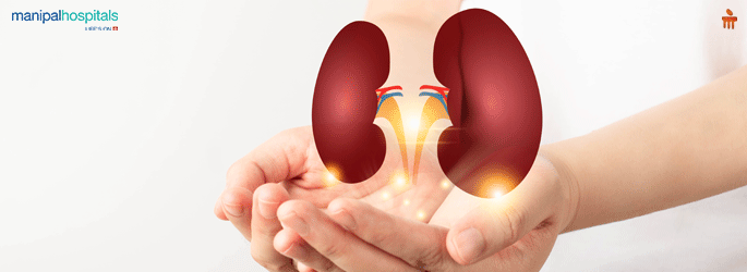 Best Kidney Transplant in Millers Road Bangalore Kidney Transplant in Millers Road Bangalore