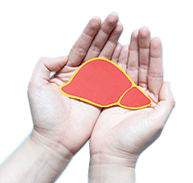 Liver Transplant Specialist In Bangalore