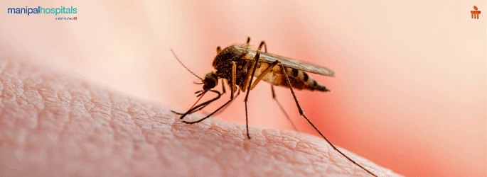 Infectious Disease Treatment Hospital in Jaipur